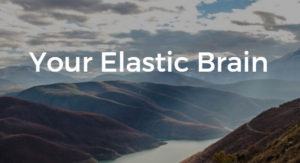 Your Elastic Brain
