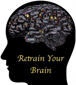 yougetthemoney.com-your-elastic-brain