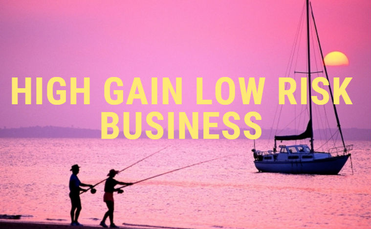 High Gain Low Risk Business