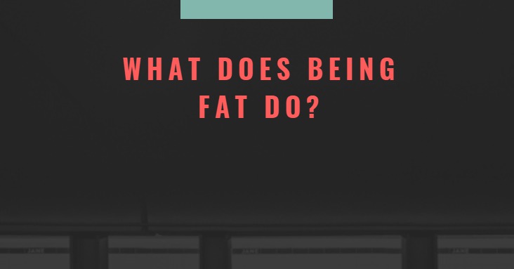 What Does Being Fat Do?
