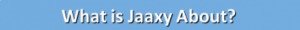 what is jaaxy about