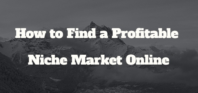 how_to_find_a_profitable_niche_market_online