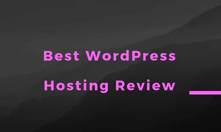 Best WordPress Hosting Review 