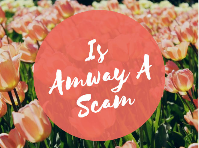 Is Amway A Scam