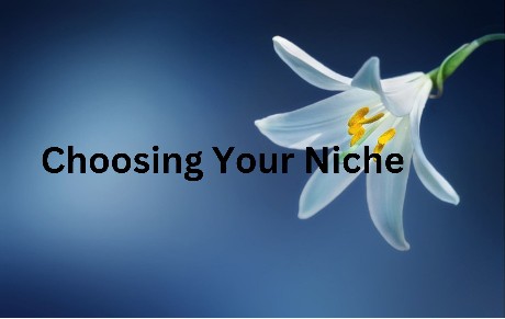 Choosing Your Niche