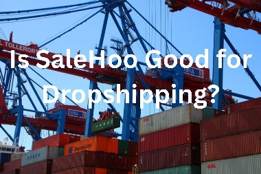 Is SaleHoo Good for Dropshipping